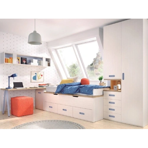 Dormitorio Juvenil C119
