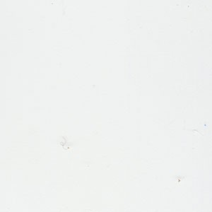 Blanco Lacado